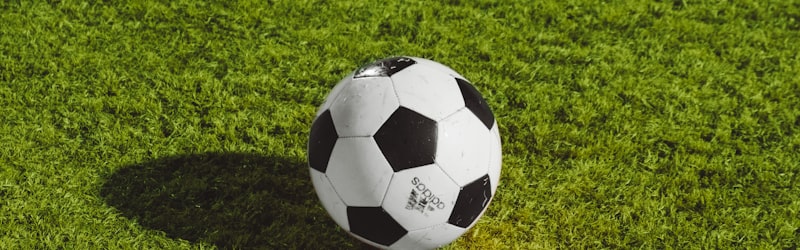 曼彻斯特城足球俱乐部队徽